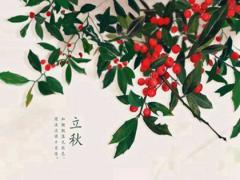 六月立秋颗粒无收是什么意思,2020年立秋出行好不好？