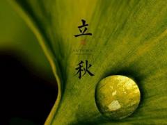 2020年六月十八立秋提车好不好,2020下半年提车吉日