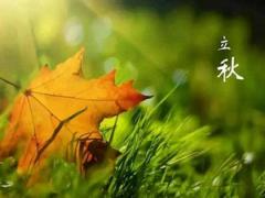 93年立秋出生的属鸡好吗,2020今日立秋几时几分
