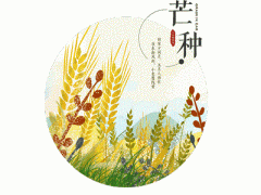 2020芒种可以理发吗？芒种前一个节气是什么？