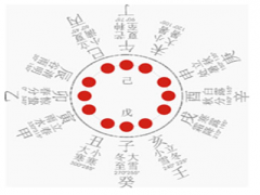 9.天干地支的相互关系-根与苗