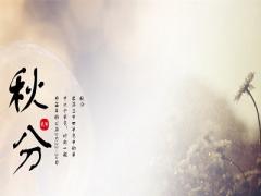 2020年秋分结婚好吗？秋分天气会转凉吗？