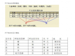 天干地支阴阳属相图、天干地支五行属相图