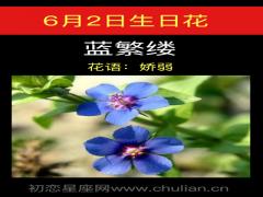 6月2日生日花-蓝繁缕