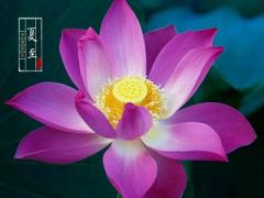 每年夏至是固定日子吗？2020年夏至这天能结婚吗？
