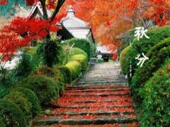 距离2020年秋分还有多少天？秋分下雨有什么征兆？