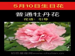 5月10日生日花-普通牡丹花