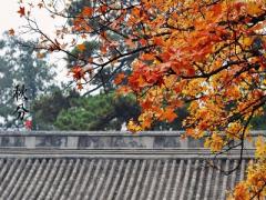 秋分是表示进入秋天的节气吗？2020秋分前一天是吉日？