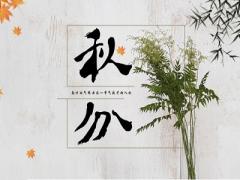 2020秋分日子办喜酒结婚好不好？秋分结婚会对谁不利？