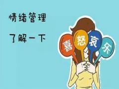 1月1日生日密码-情绪的组织者