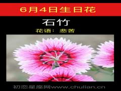 6月4日生日花-石竹
