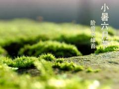 关于小暑节气简介,2020年7月6日小暑领证好不好？