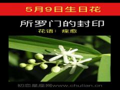 5月9日生日花-所罗门的封印
