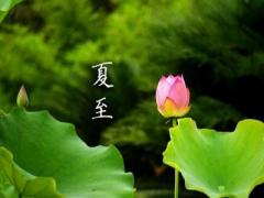 2020夏至前一天可以出殡吗？夏至的古诗谚语有哪些？