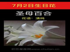 7月2日生日花-圣母百合花