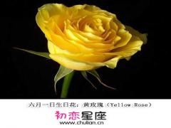 生日花语·六月