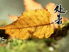 关于处暑谚语大全解析,2020年8月22日处暑领证好吗？