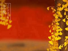 立秋游泳不长痱子吗,关于立秋的歌谣有哪些？