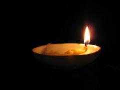 丁火日主生于寅月如何取用神?