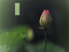 2020年夏至是几月几号几点？夏至这天下雨好不好？