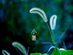 小暑节气有什么习俗,2020年小暑当天可以祭祖祭祀吗？