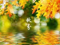 秋分忌讳什么？2020年秋分在什么时候？