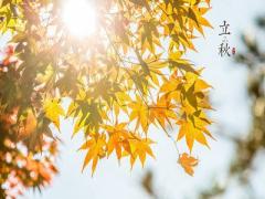 2020年立秋是几月几日几点几分，关于立秋对联