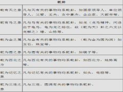 八卦万物类象新解