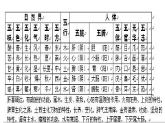 五行人体对照表,五行与五味五色五化查询表