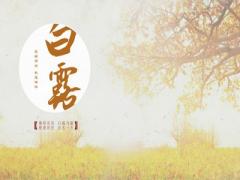 2020庚子鼠年9月7日白露这天可以登记结婚证吗？