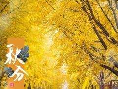 秋分的来历是什么？2020年秋分时辰吉凶分析！