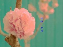 2020庚子鼠年农历十月装修房子吉日一览表！