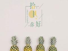 农历十月五行属性是什么？五行是什么意思？
