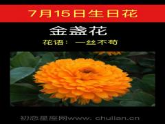 7月15日生日花-金盏花