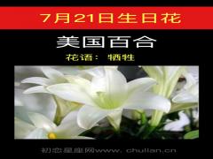 7月21日生日花-美国百合