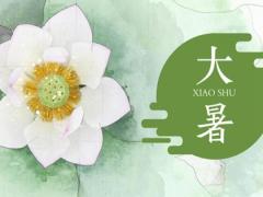 2020年六月初二大暑宜同房吗,一年中哪些日子忌同房