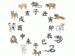天干地支怎么读，子丑寅卯辰巳午未申酉戌亥怎么读