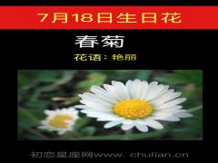 7月18日生日花-春菊