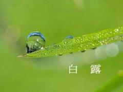 2020白露的具体时辰是多少？2020年白露是不是黄道吉日？