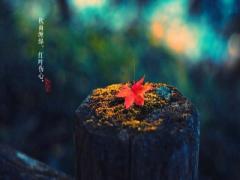 2020年秋分是农历几月几日？秋分日夜一样长吗？