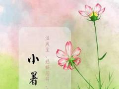 2020年小暑节气进入三伏天了吗,2020三伏天时间表！