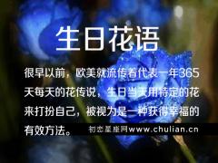 生日花语解析,365生日花语