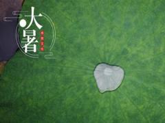 2020年农历六月初二大暑结婚吉利吗,大暑节气简介！