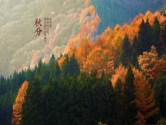 秋分节气的主要特点是什么？2020秋分前一天结婚好吗？