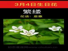 3月4日生日花-繁缕