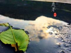2020年处暑节气是什么时候,处暑可以搬家吗？