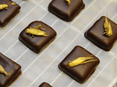 7月9日生日巧克力-金桶榛子（Gold Cone with Piped Almond Gian