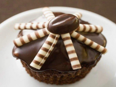 1月3日生日巧克力-榛子蓉斑马（Gianduja with Crisped Rice）