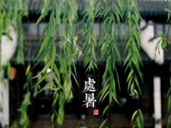 处暑有什么活动,2020年七月初四处暑日子出殡好吗？
