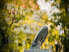 秋分有什么节气特点？秋分为什么要吃秋菜？